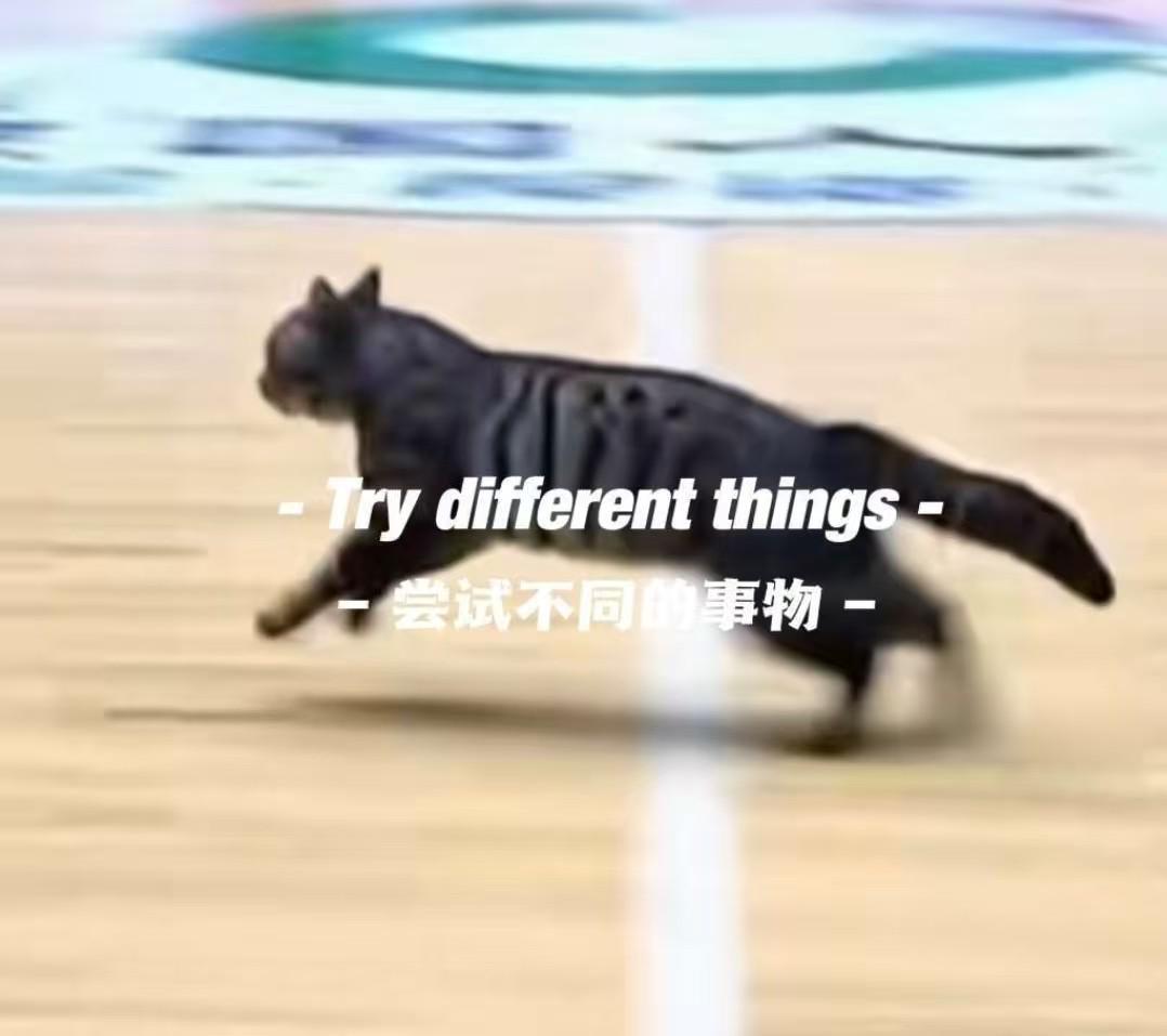 猫猫也想打球，广东四川CBA比赛中场地内跑进一只小猫